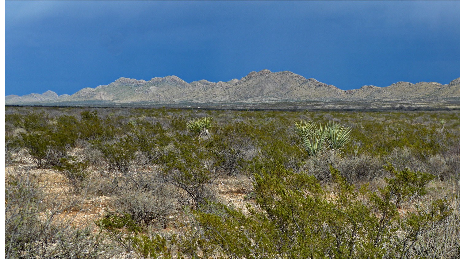 Mountains of the Big Bend National Park seen from our campsite few kilometers east of its eastern entrance